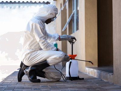 About Inland Coastal Solutions - Pest Control Services experts in Dover